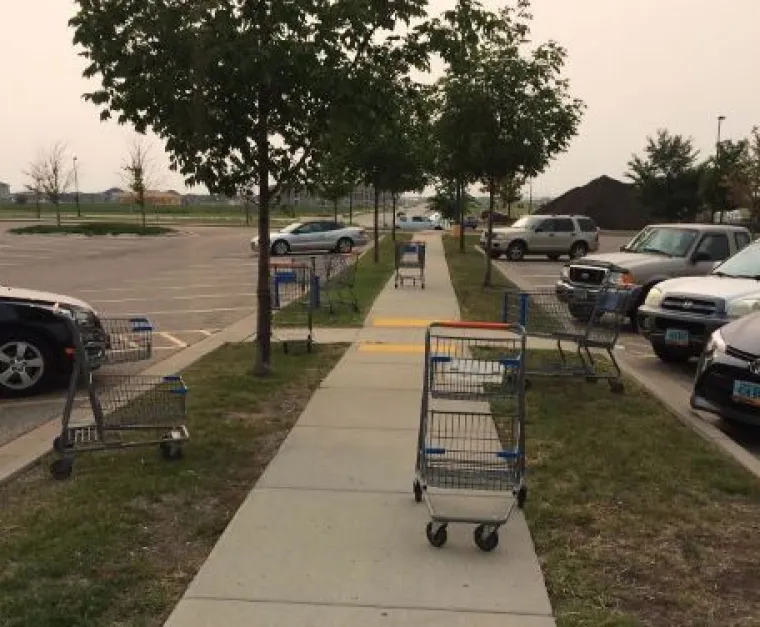 Onu staru: 'Perice, ljudi su svinje' dokazuje i ovih 15 fotografija prljavih sebičnjaka