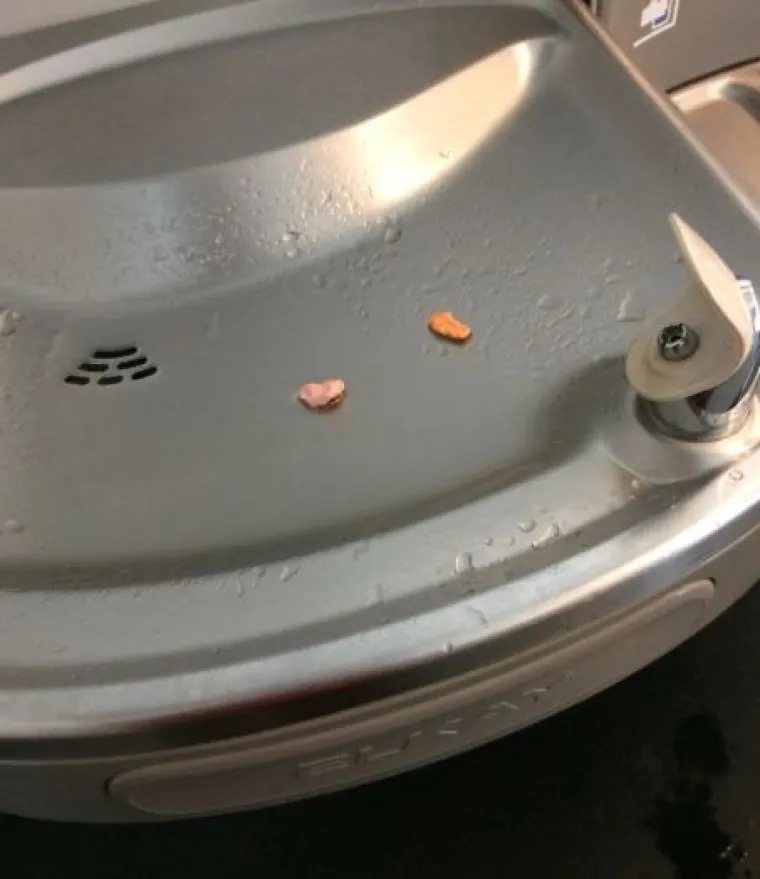 Onu staru: 'Perice, ljudi su svinje' dokazuje i ovih 15 fotografija prljavih sebičnjaka