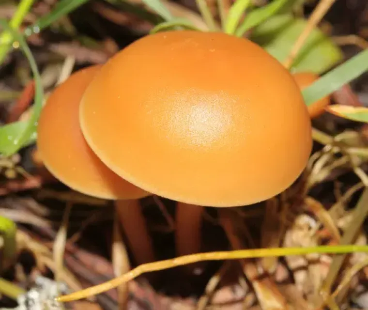 Za sve ljubitelje urednog: Slike koje su toliko savršene da boli