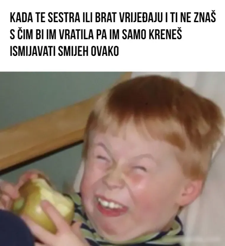 15 mema koji će razumjeti oni koji su bili te (ne)sreće da imaju brata ili sestru