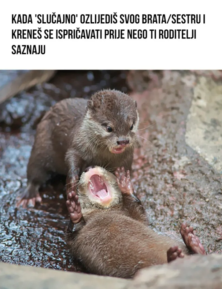15 mema koji će razumjeti oni koji su bili te (ne)sreće da imaju brata ili sestru