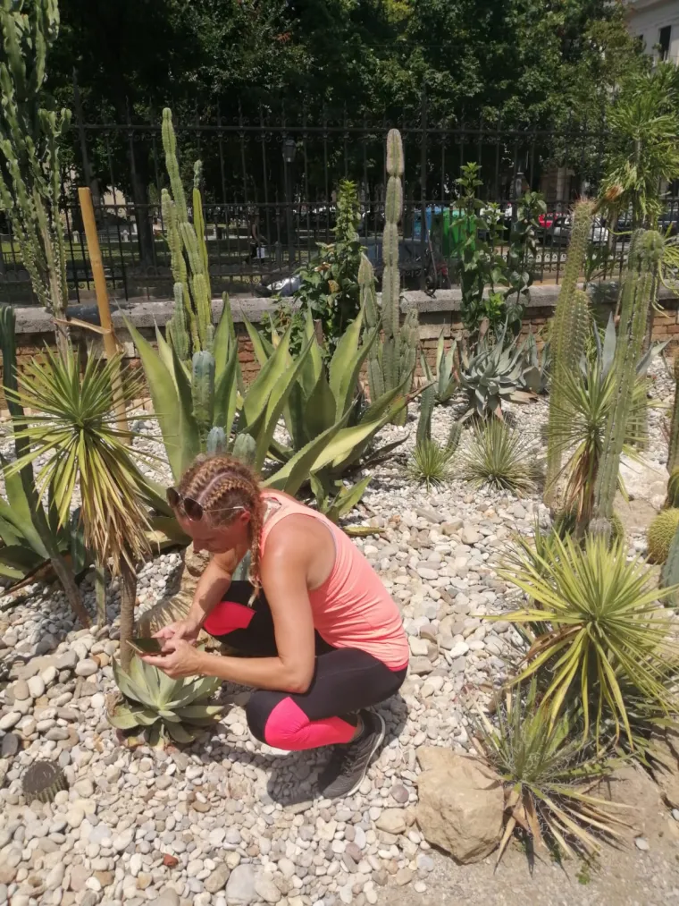 hortikultura značenje