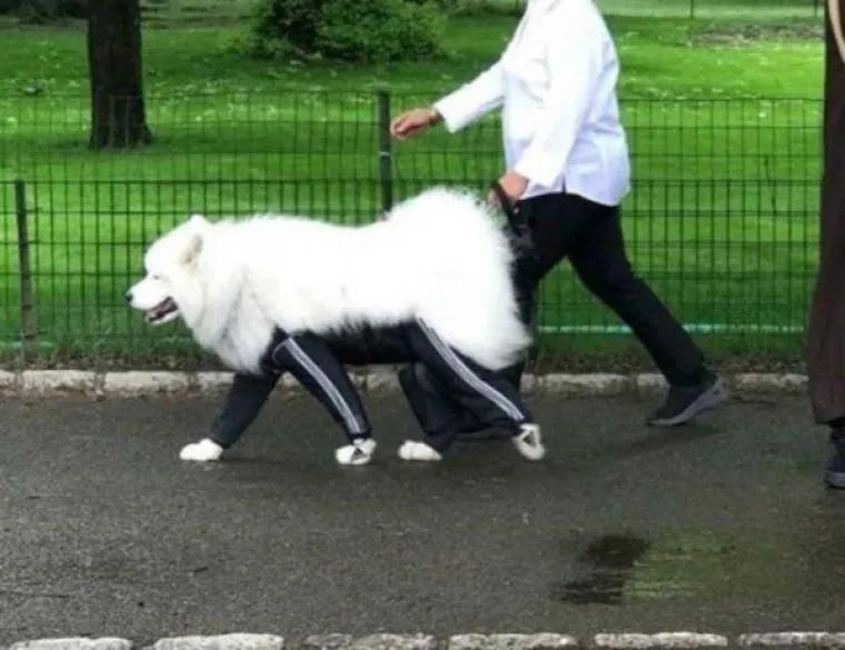 RUSIJA KAKVU PUTIN NE ŽELI DA VIDITE: Ovakve genijalce ni KGB ne bi uspio sakriti