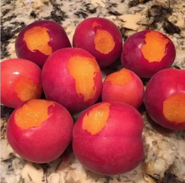 RODITELJI NA RUBU ŽIVČANOG SLOMA: Ovi klinci prava su noćna mora, je li vam poznato?