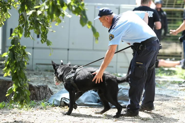 KAOS U SLOVENIJI: Boysi se obračunali s policijom, pogledajte kako je izgledala drama uoči utakmice