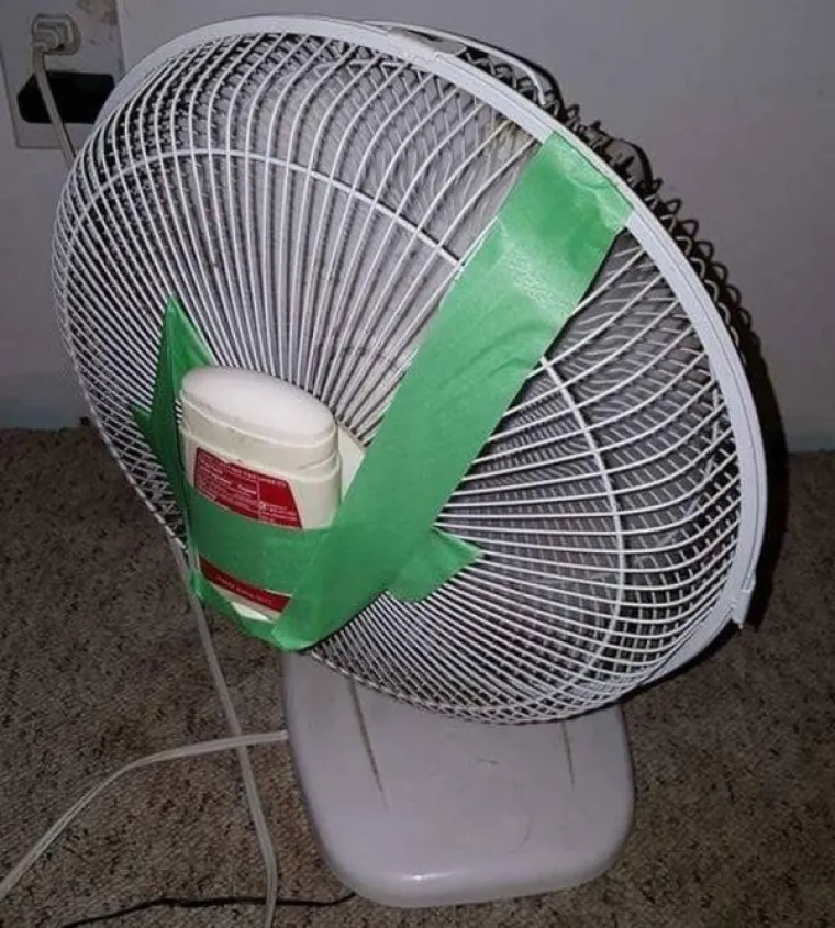 Ponekad je stvari bolje prepustiti profesionalcima