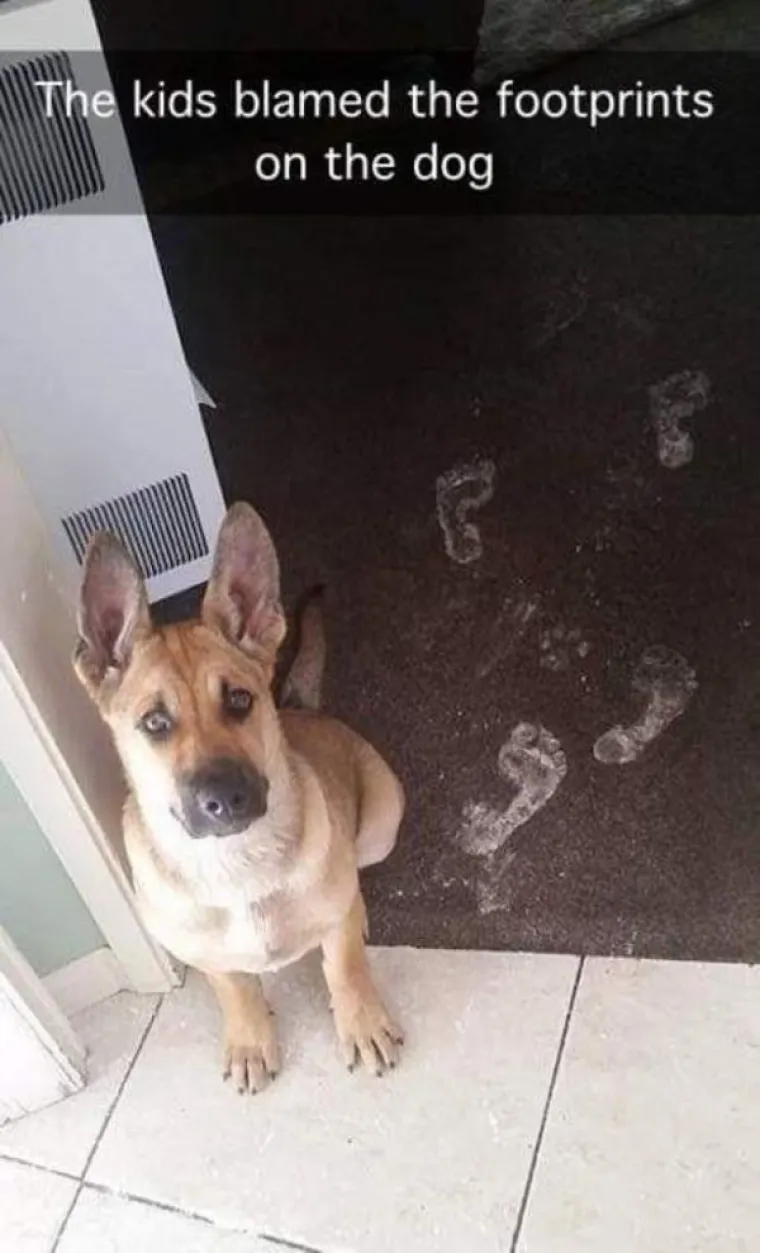 OD OVIH KLINACA NIKAD FILOZOFA: Njihova je logika u najmanju ruku upitna, ali će zato 'razvaliti' kao komičari