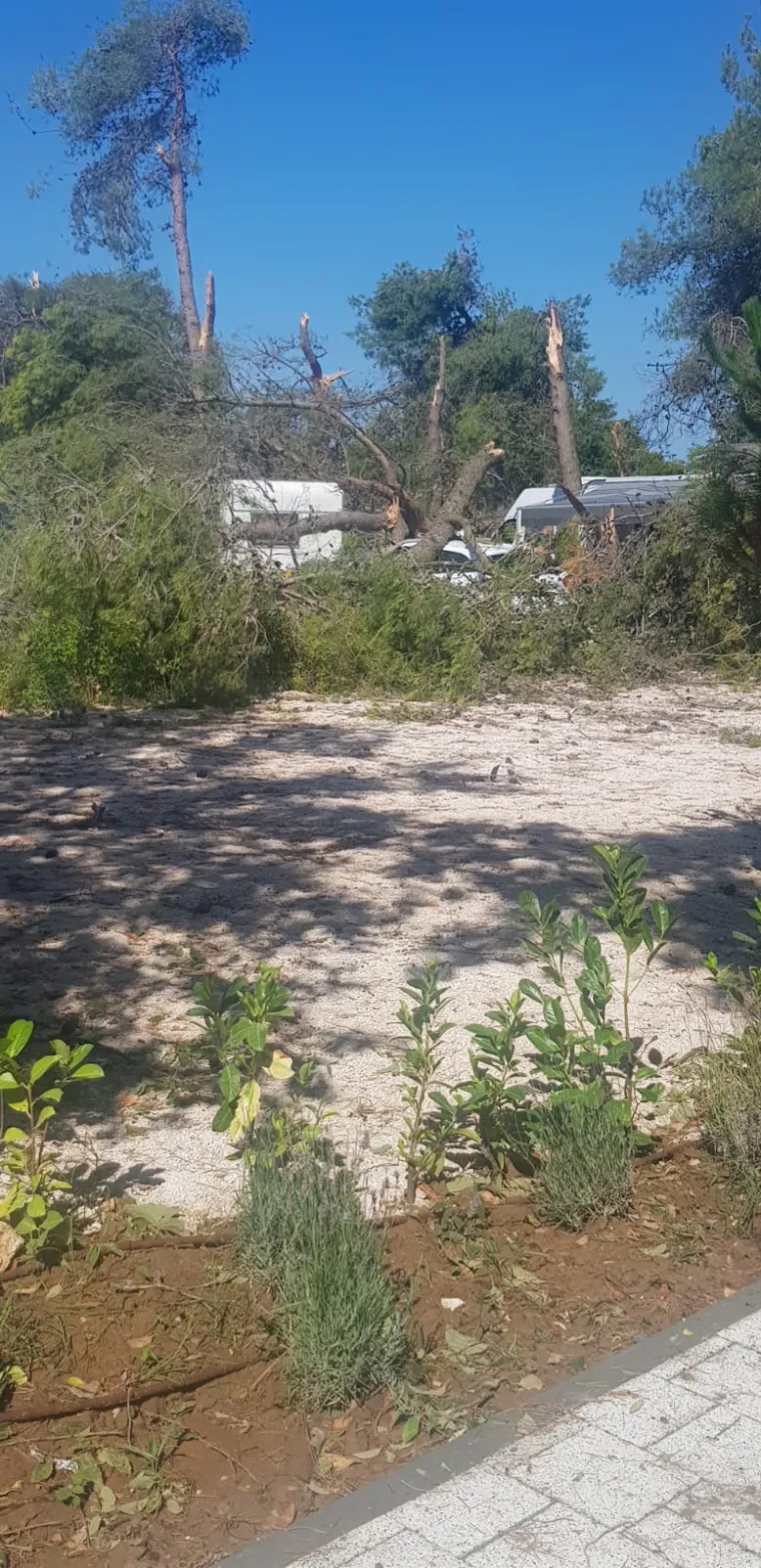 Snažna oluja protutnjala Zadrom: Na grad se obru&scaron;ila pijavica, o&scaron;tećeni auti, nestalo struje...