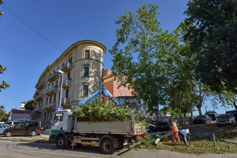 Zadar nakon olujnog nevremena: Sru&scaron;ena stabla, uni&scaron;tene kućice u novom kampu