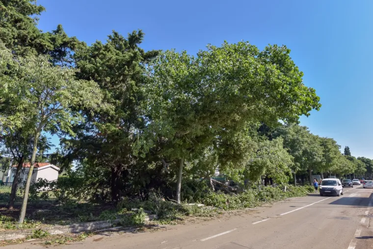 Zadar nakon olujnog nevremena: Sru&scaron;ena stabla, uni&scaron;tene kućice u novom kampu