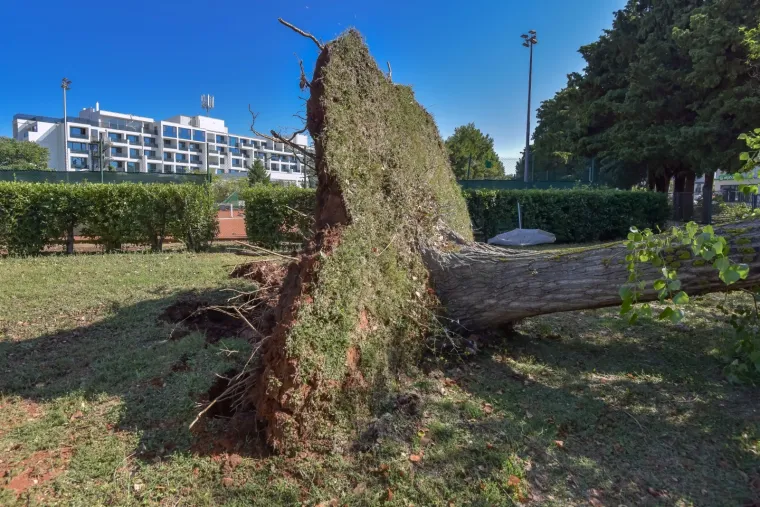Zadar nakon olujnog nevremena: Sru&scaron;ena stabla, uni&scaron;tene kućice u novom kampu
