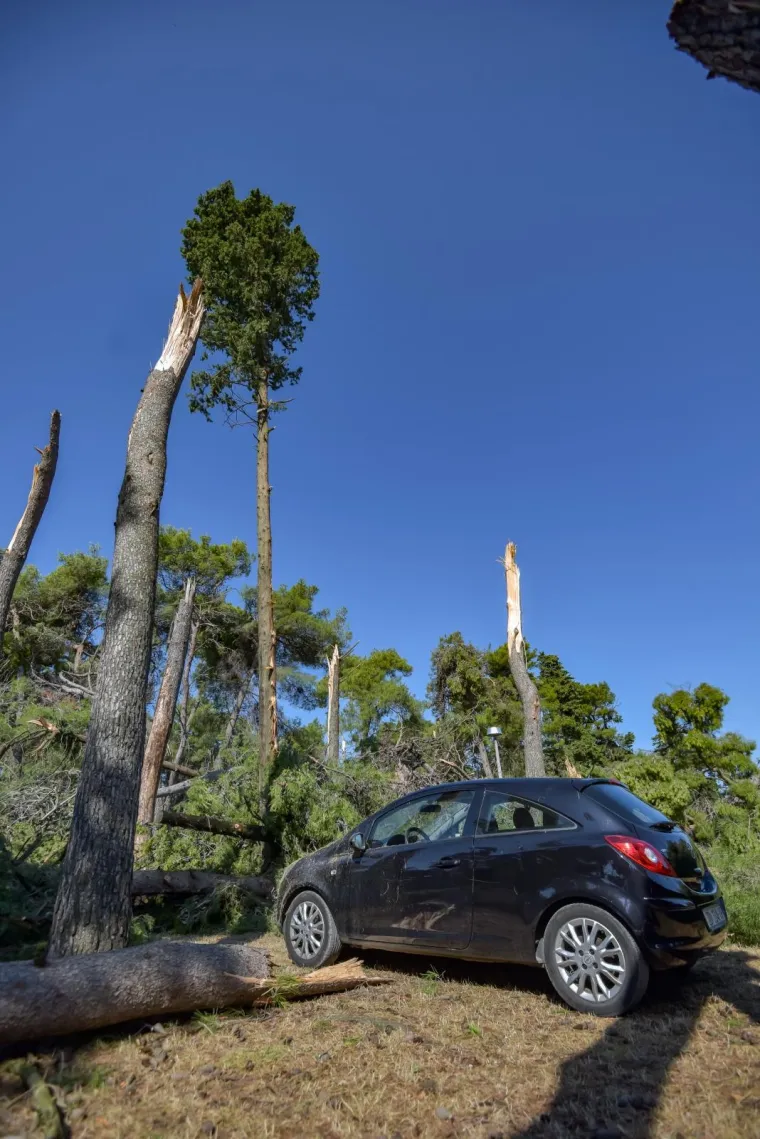 Zadar nakon olujnog nevremena: Sru&scaron;ena stabla, uni&scaron;tene kućice u novom kampu