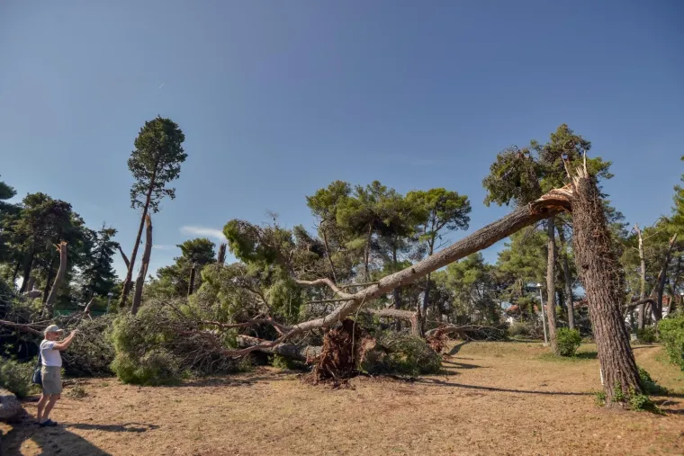 Zadar nakon olujnog nevremena: Sru&scaron;ena stabla, uni&scaron;tene kućice u novom kampu