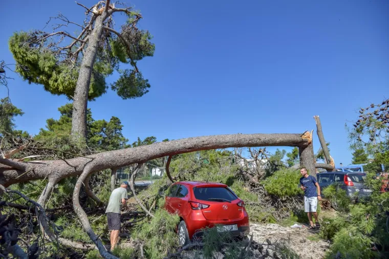 Zadar nakon olujnog nevremena: Sru&scaron;ena stabla, uni&scaron;tene kućice u novom kampu