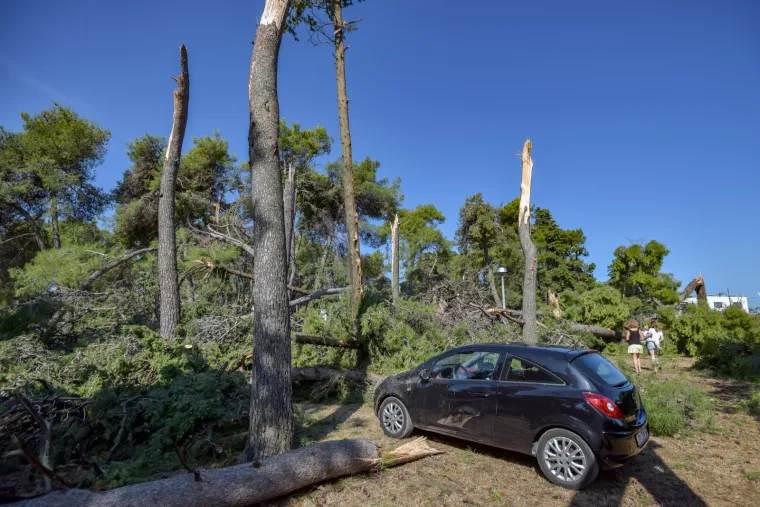 Zadar nakon olujnog nevremena: Sru&scaron;ena stabla, uni&scaron;tene kućice u novom kampu