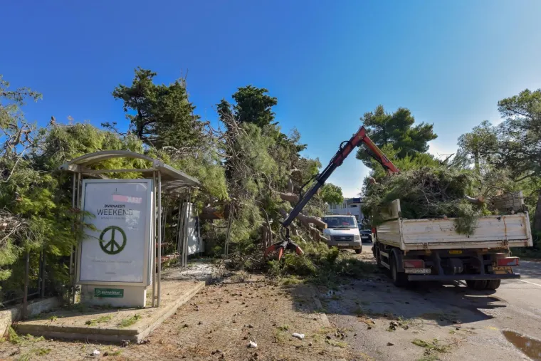 Zadar nakon olujnog nevremena: Sru&scaron;ena stabla, uni&scaron;tene kućice u novom kampu
