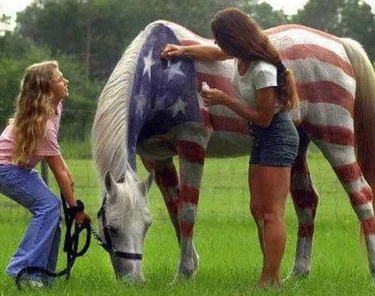 Fotografije EKSTREMNOG američkog patriotizma s proslave Četvrtog srpnja