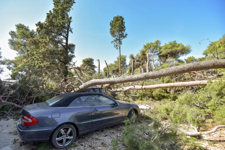 KATASTROFALNO NEVRIJEME POHARALO ZADAR: Vjetar puhao 29 m/s i čupao stabla