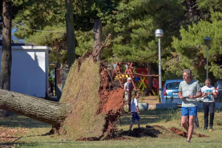 KATASTROFALNO NEVRIJEME POHARALO ZADAR: Vjetar puhao 29 m/s i čupao stabla