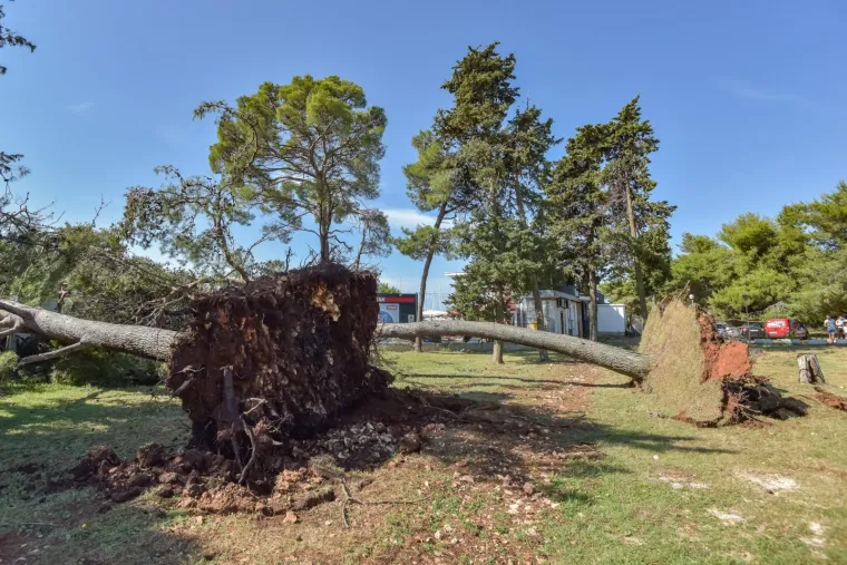 KATASTROFALNO NEVRIJEME POHARALO ZADAR: Vjetar puhao 29 m/s i čupao stabla