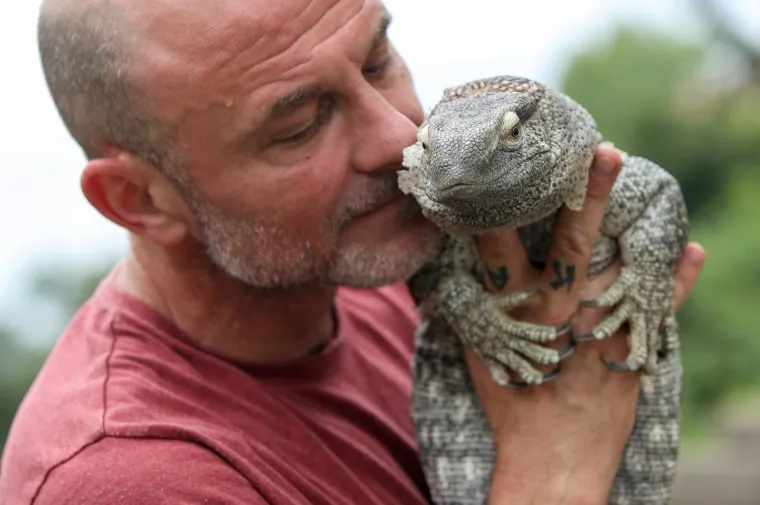 Da ti se sledi krv u žilama: Najotrovnije zmije svijeta stigle u Zagreb, hit izložbe kraljevska kobra Elvis
