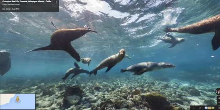 20 genijalnih fotografija životinja uhvaćenih na kameri Google Street Viewa