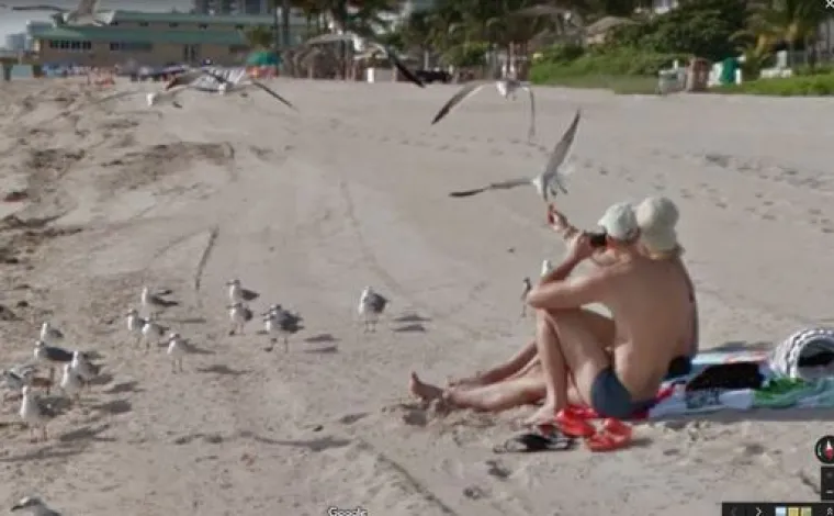 20 genijalnih fotografija životinja uhvaćenih na kameri Google Street Viewa