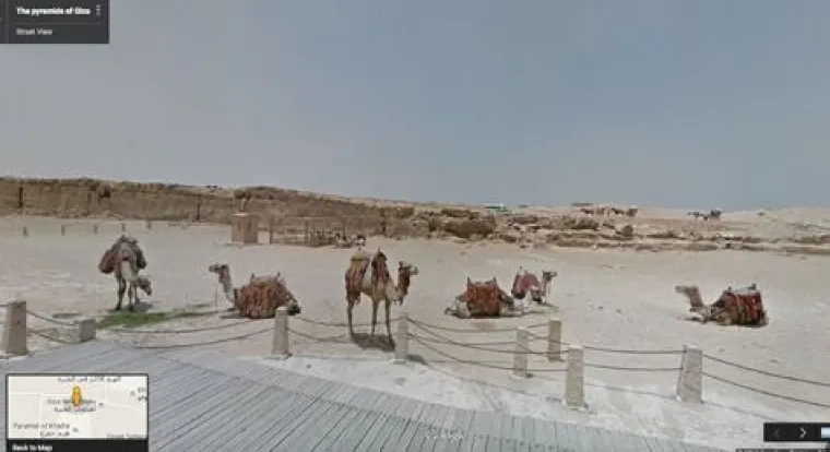 20 genijalnih fotografija životinja uhvaćenih na kameri Google Street Viewa