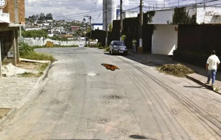 20 genijalnih fotografija životinja uhvaćenih na kameri Google Street Viewa