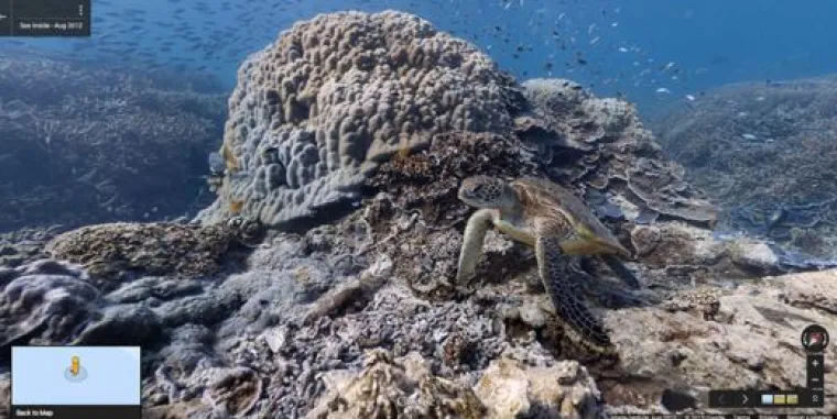 20 genijalnih fotografija životinja uhvaćenih na kameri Google Street Viewa