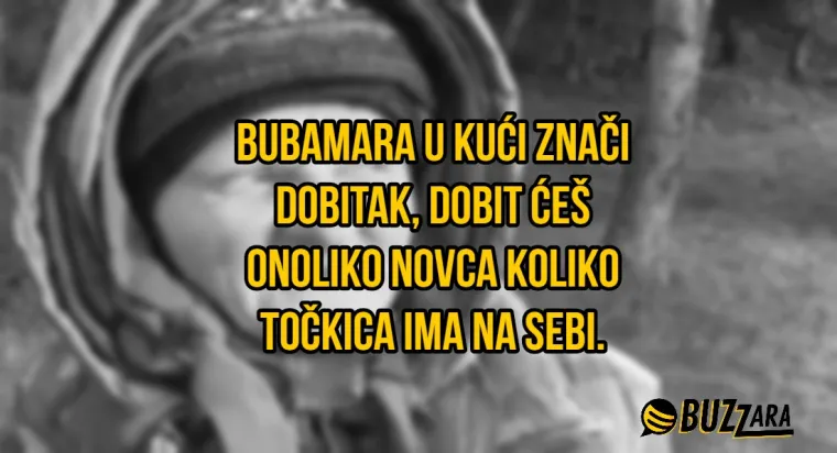 'Pčela u novčaniku donosi novac': 30 najluđih hrvatskih praznovjerja od kojih će vam titrati obrve