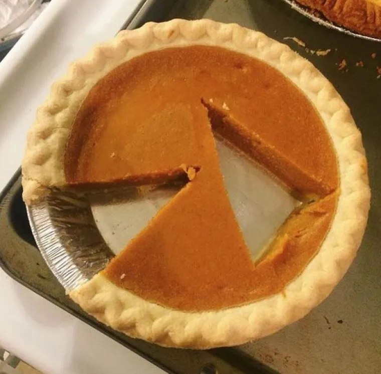 Nije za svakoga: 20 neugodno nelagodnih fotografija zbog kojih će vas proći trnci