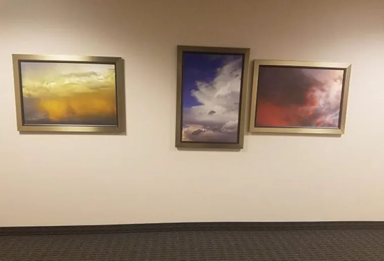 Nije za svakoga: 20 neugodno nelagodnih fotografija zbog kojih će vas proći trnci