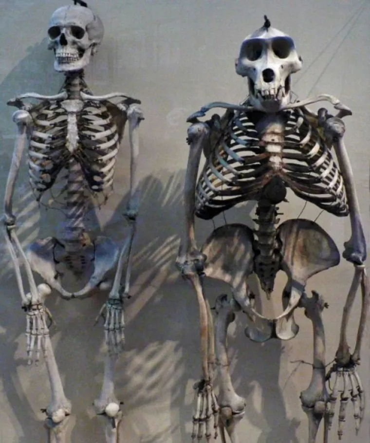 15 fotografija usporedba o kojima ćete razmi&scaron;ljati danima