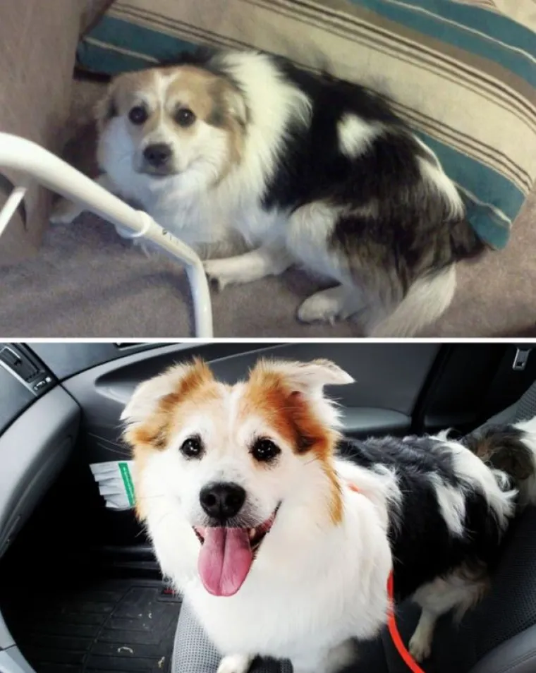 15 fotografija usporedba o kojima ćete razmi&scaron;ljati danima