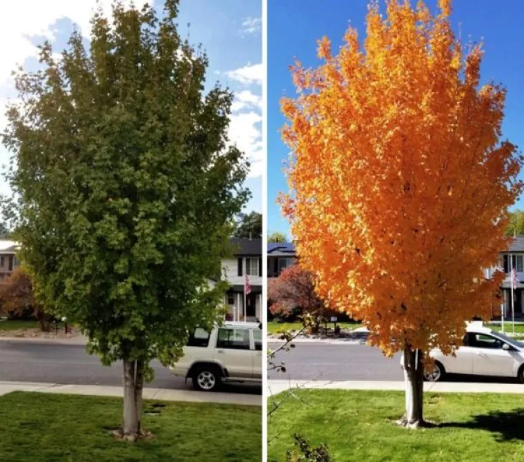 15 fotografija usporedba o kojima ćete razmi&scaron;ljati danima
