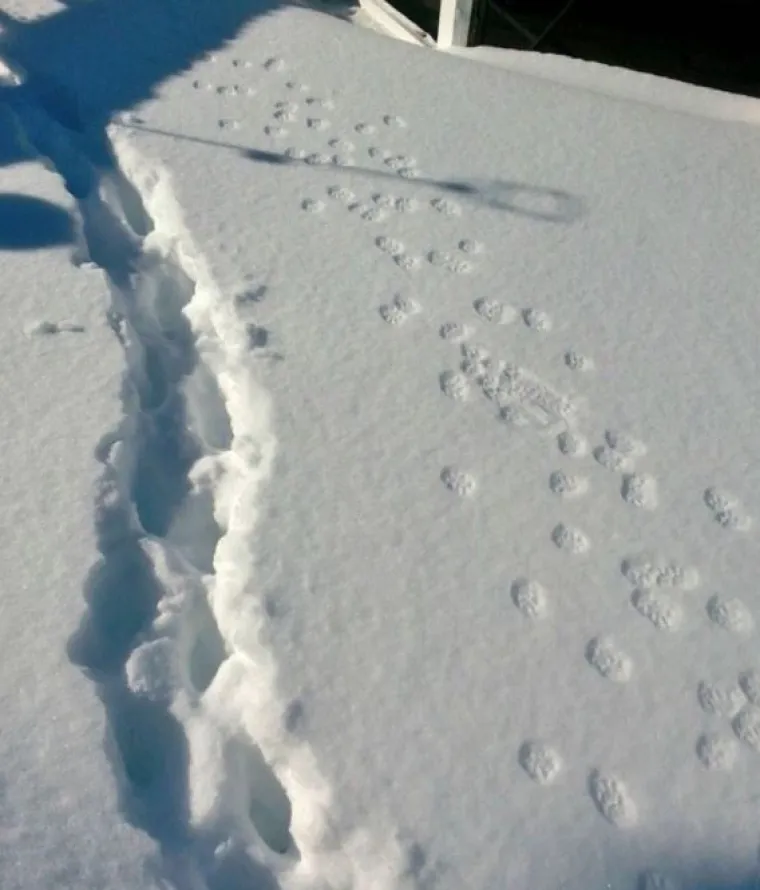 15 fotografija usporedba o kojima ćete razmi&scaron;ljati danima