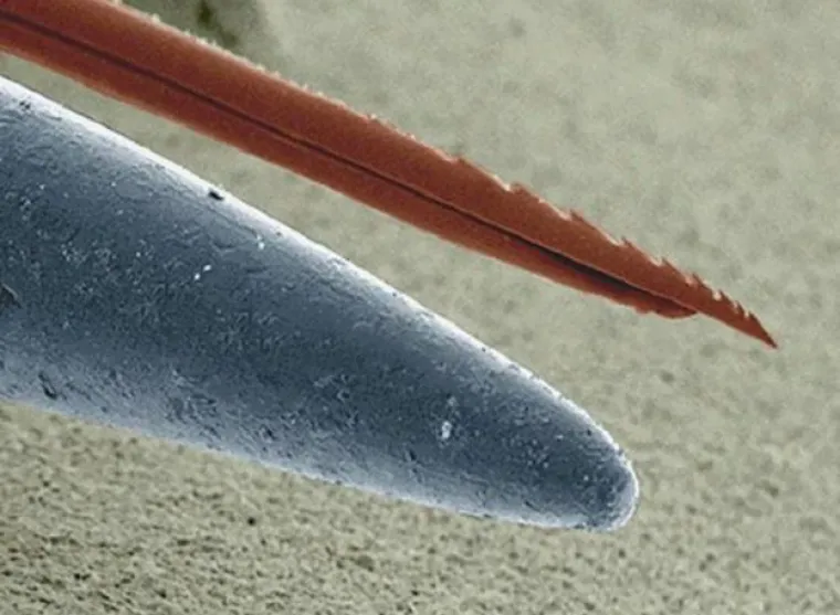 15 fotografija usporedba o kojima ćete razmi&scaron;ljati danima