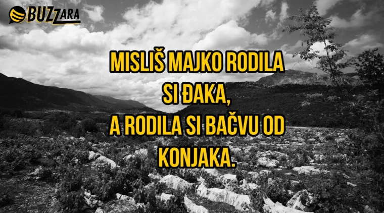 'Misli&scaron; majko rodila si đaka, a rodila si bačvu od konjaka': 30 najboljih dalmatinskih gangi