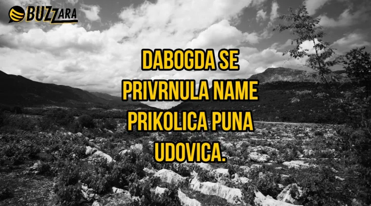 'Misli&scaron; majko rodila si đaka, a rodila si bačvu od konjaka': 30 najboljih dalmatinskih gangi