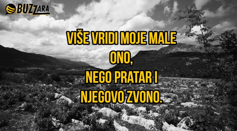 'Misli&scaron; majko rodila si đaka, a rodila si bačvu od konjaka': 30 najboljih dalmatinskih gangi