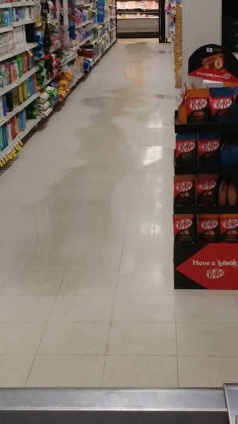 SVI ZNAJU BAREM JEDNOG OVAKVOG KOLEGU:  Profesionalci su jedino u tome kako ispasti se*onja