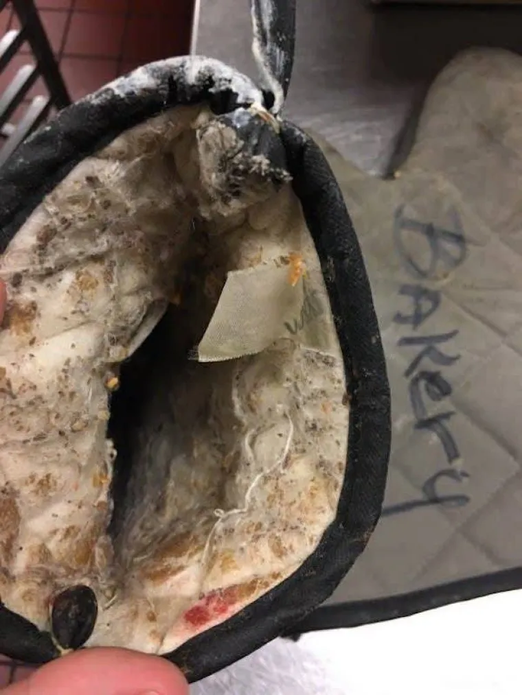 SVI ZNAJU BAREM JEDNOG OVAKVOG KOLEGU:  Profesionalci su jedino u tome kako ispasti se*onja