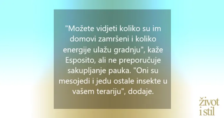 Tri savjeta kako pomoći djeci da se oslobode straha od insekata