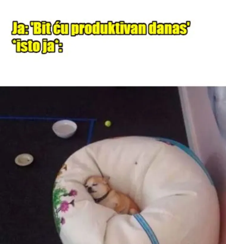 15 duhovitih, a realnih mema za sve nas koji volimo dugo spavati