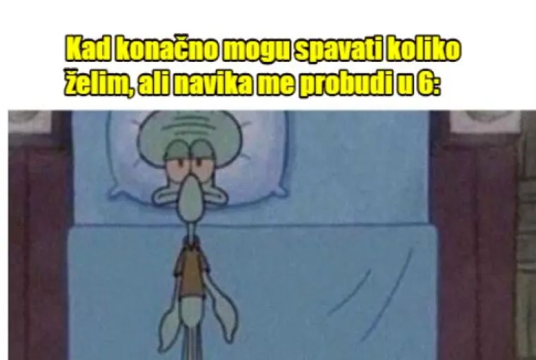 15 duhovitih, a realnih mema za sve nas koji volimo dugo spavati