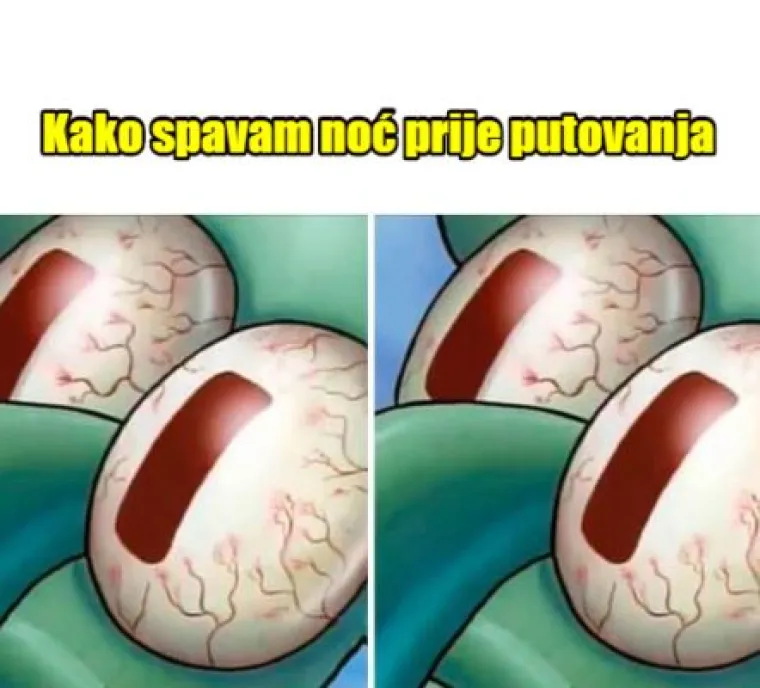 15 duhovitih, a realnih mema za sve nas koji volimo dugo spavati