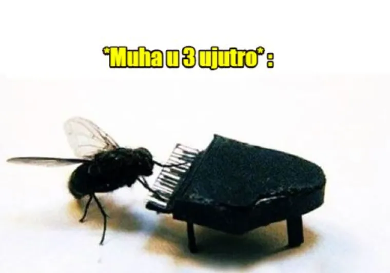 15 duhovitih, a realnih mema za sve nas koji volimo dugo spavati