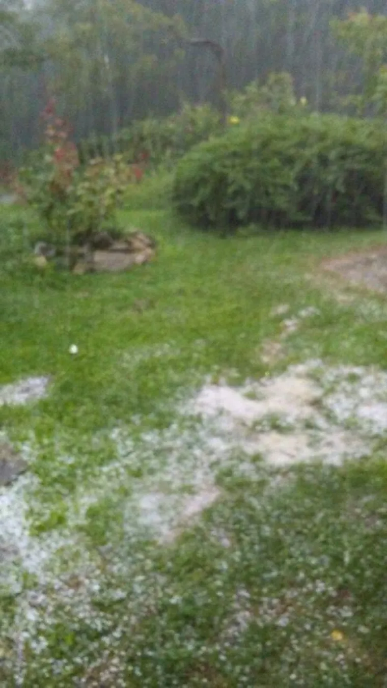 Zagorje ponovno poharala tuča: Padala je dobrih 10 minuta, a bila je veličine lje&scaron;njaka!