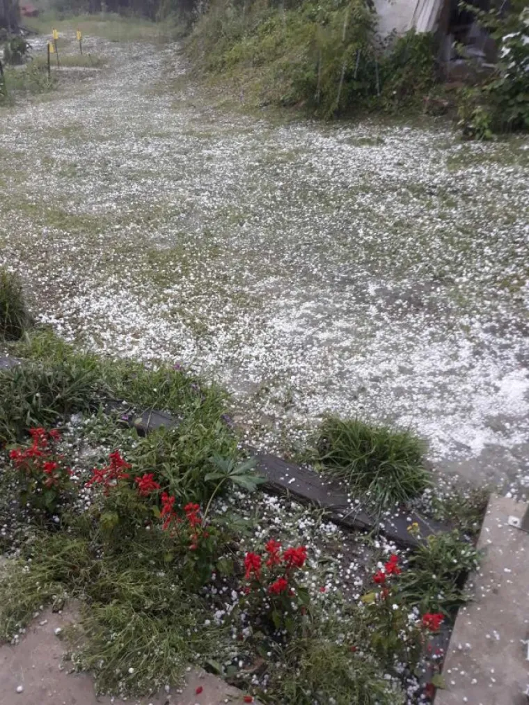 Zagorje ponovno poharala tuča: Padala je dobrih 10 minuta, a bila je veličine lje&scaron;njaka!